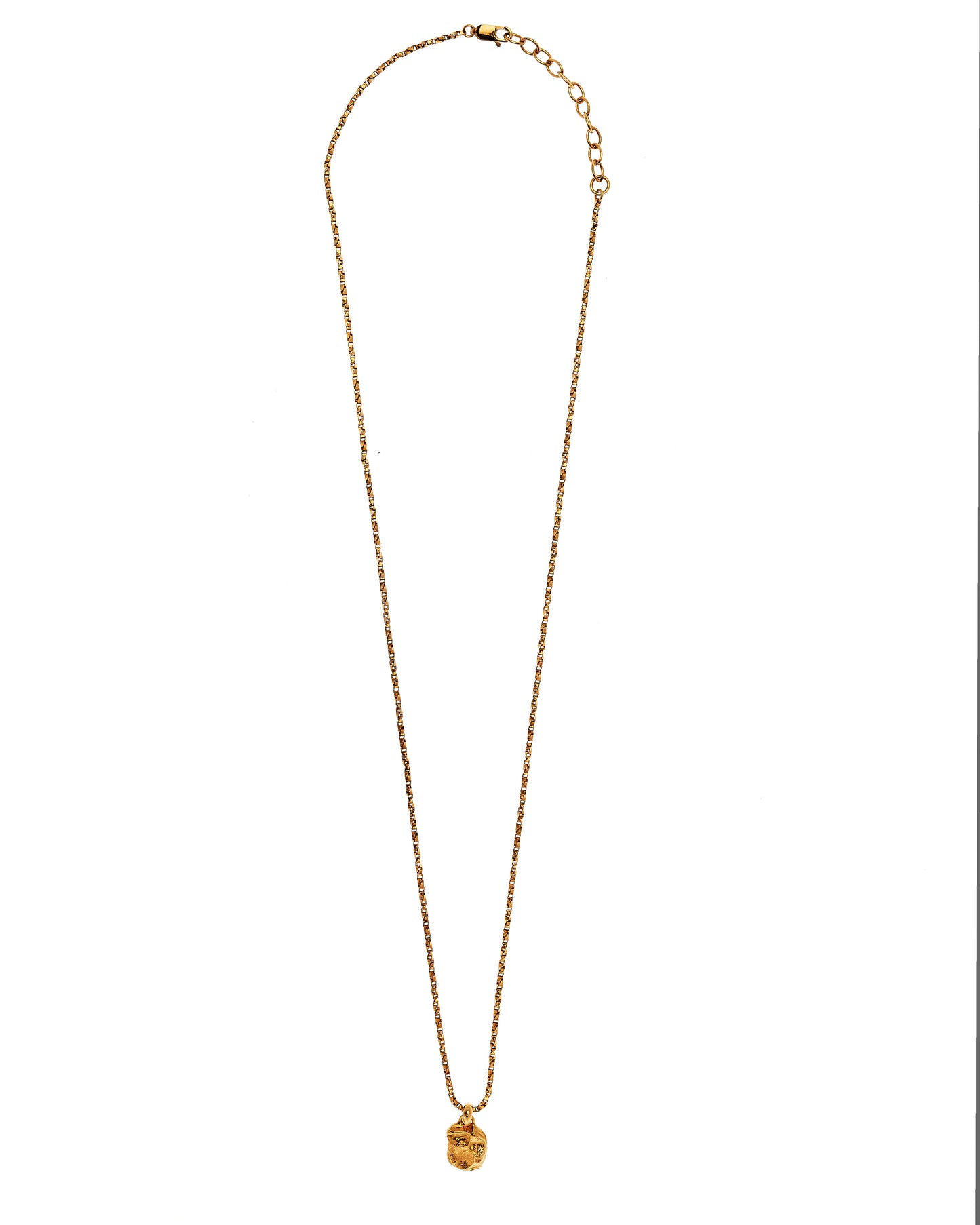 The Face of Ambiguity Necklace